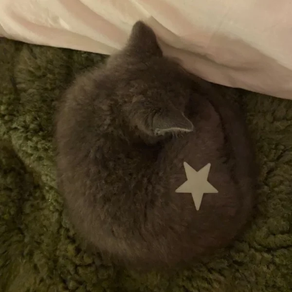 今週もお願いします🫶🏻
