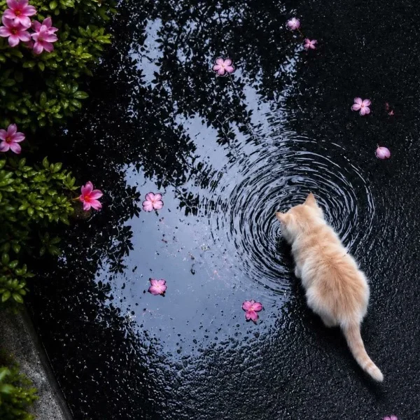 ありがとう💞