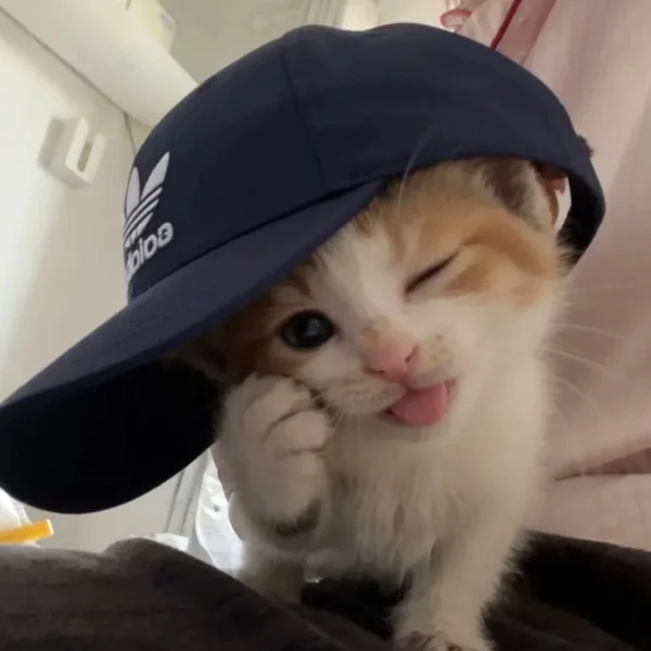 今日もありがとう💞