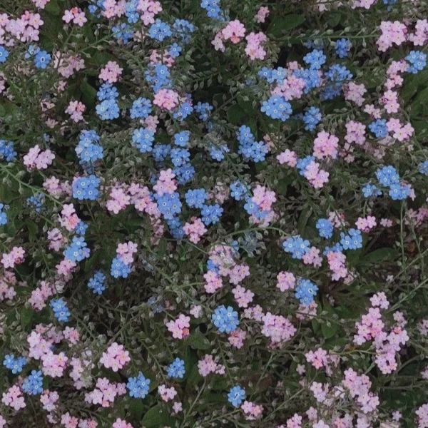 今日もありがとうございました✨