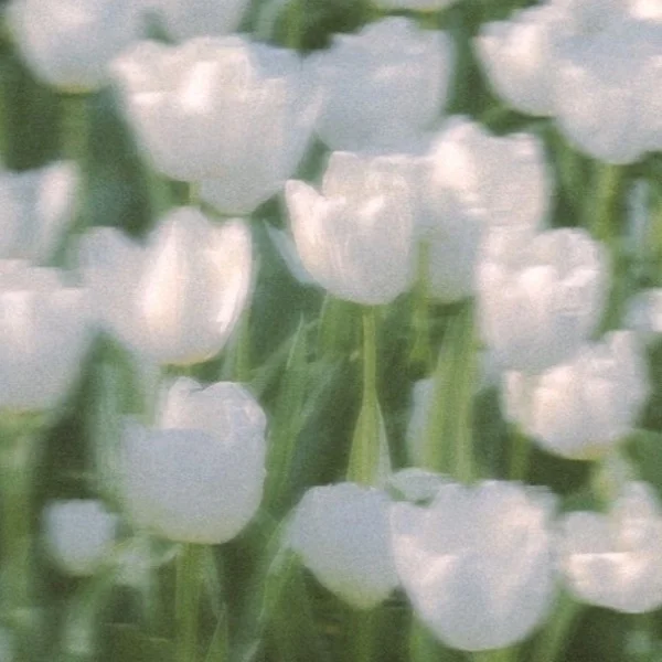 今日もありがとう✨