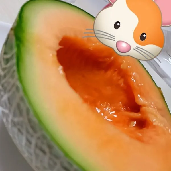 明日18時より😚💓