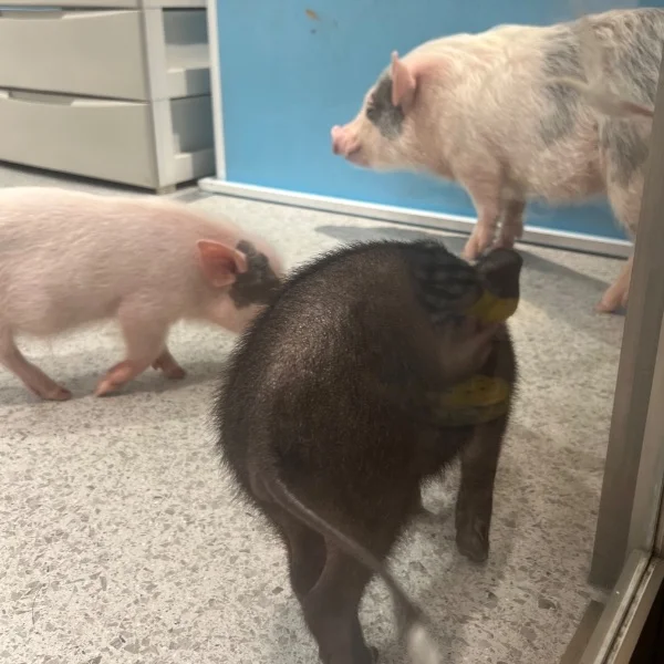 おはようございます！！