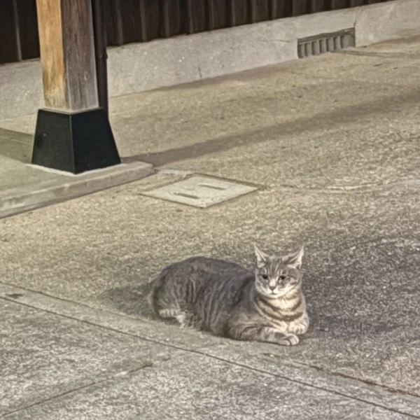 今日も一日お疲れ様でした✨