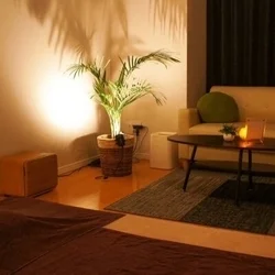 お店のコースその3