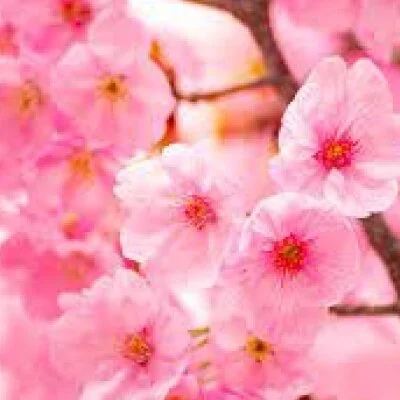 お店の特徴その1