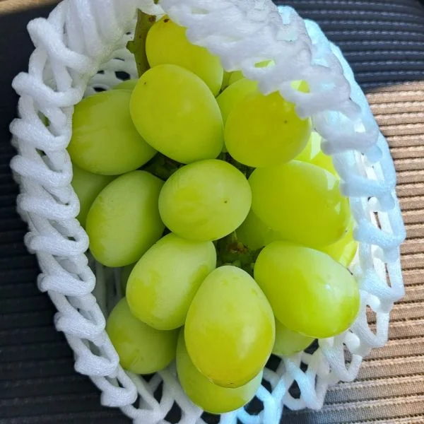 農家作業👨🌾