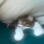 採用担当の山本さん