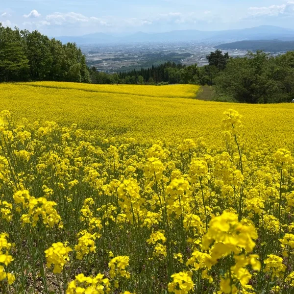 今日から7月🌻