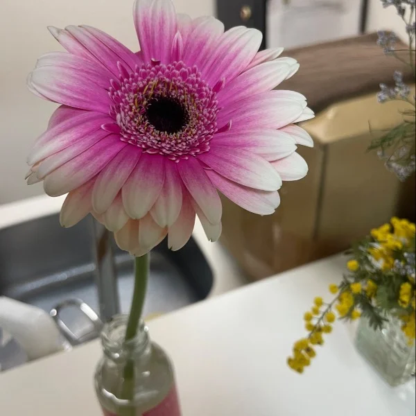 今、追加1枠作りました💕