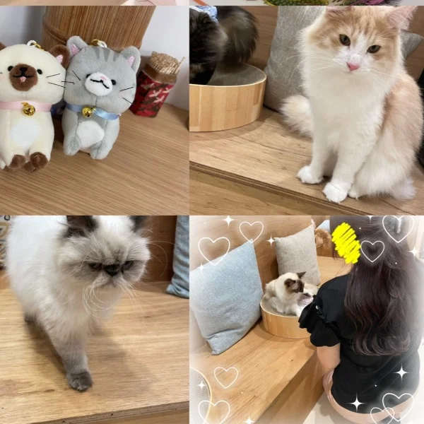今日までありがとう♥️
