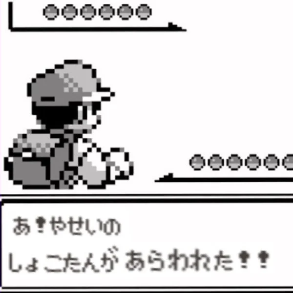 面接に野生のしょこたんがあらわれた‼︎