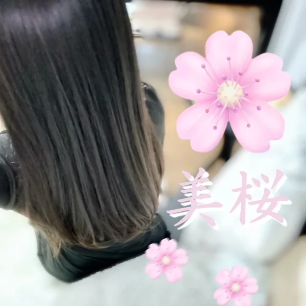 美桜です🌸