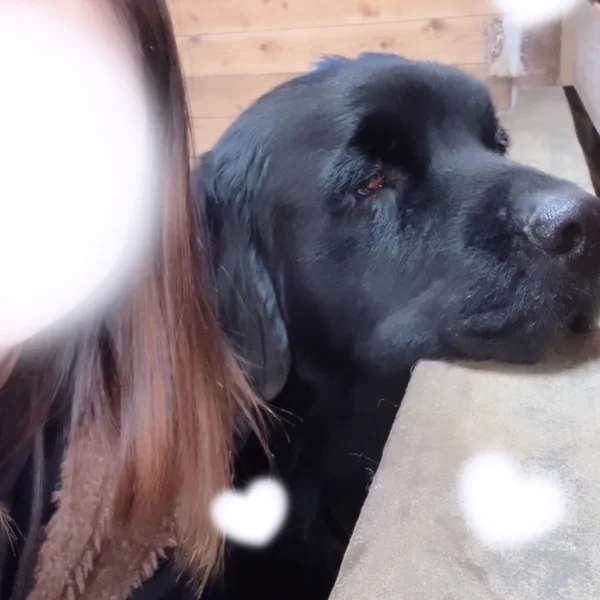 まいのおやすみ🍀*゜