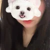 まい