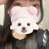 まい