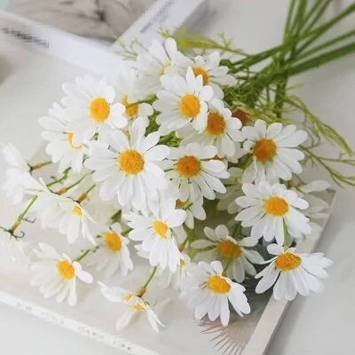 本日と明日お休みします🌼*･