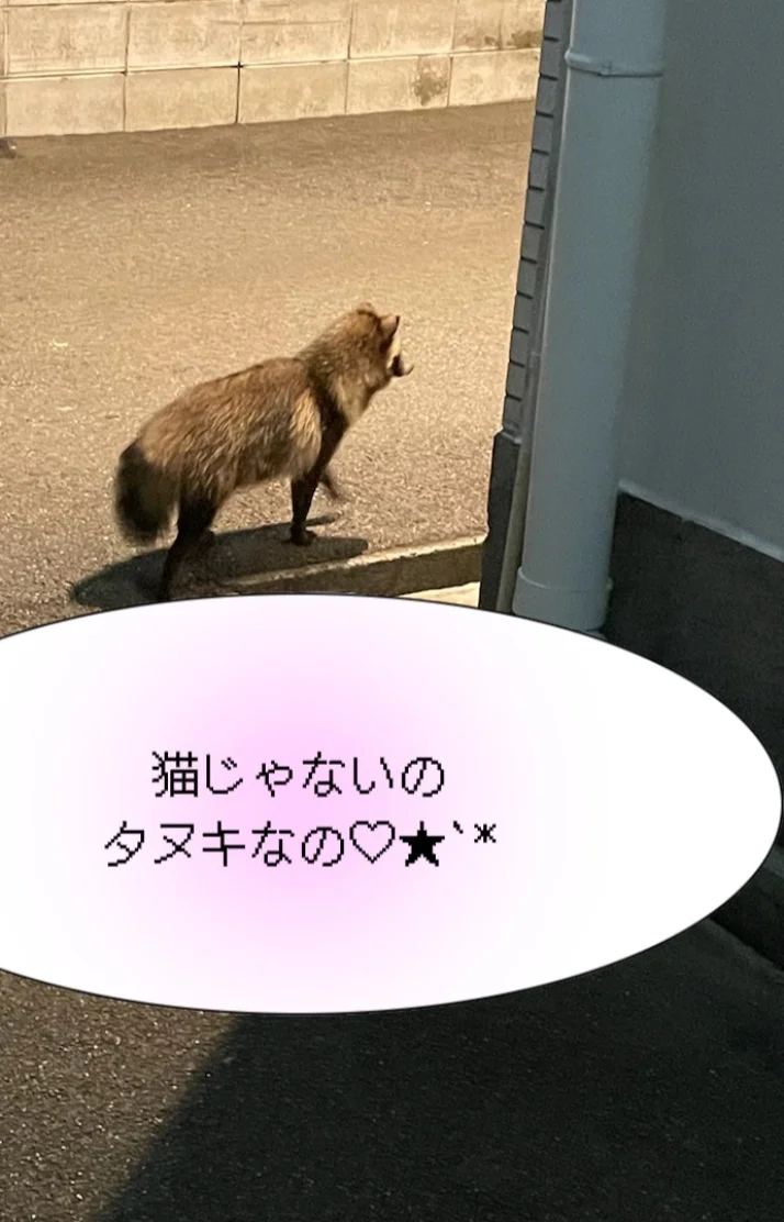 意外な出会い👀