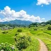 おはようございます😃のサムネイル