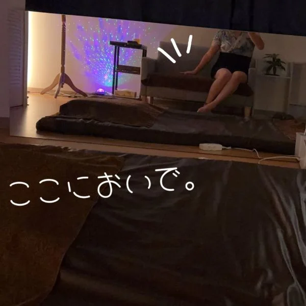 初めまして🐈 心/ここ といいます🐾