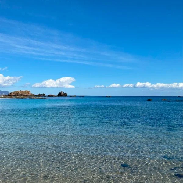 海日和ですね🌴☀️