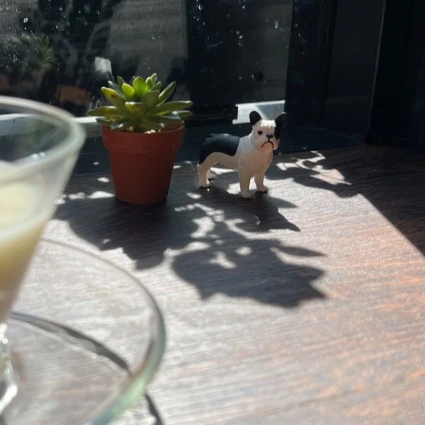 こんにちは🌱