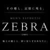 ZEBRA〜ゼブラ