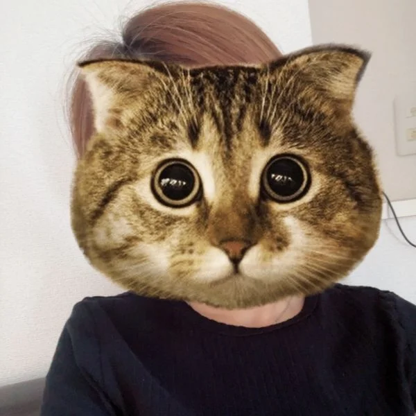 おはようございます