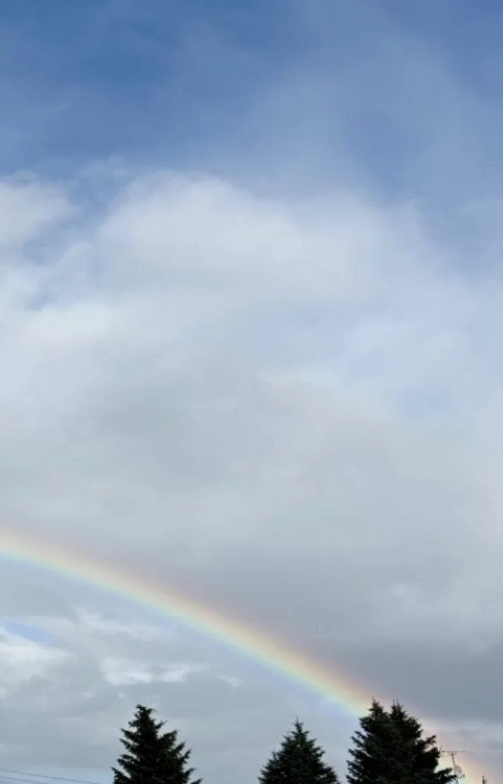 綺麗な虹が出てました🌈