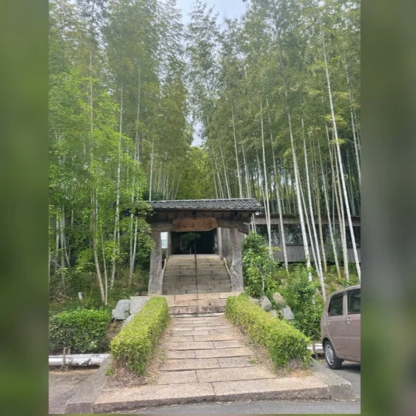 温泉♨️