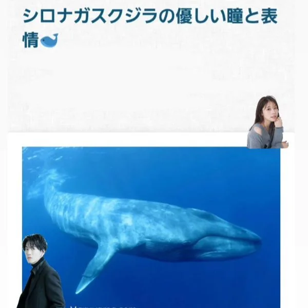 ね〇り王子へ