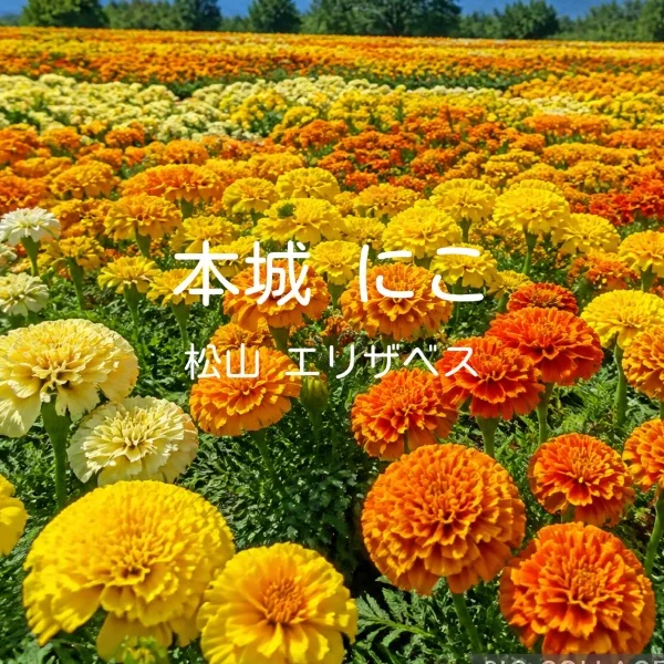 6/27(土)出勤します！