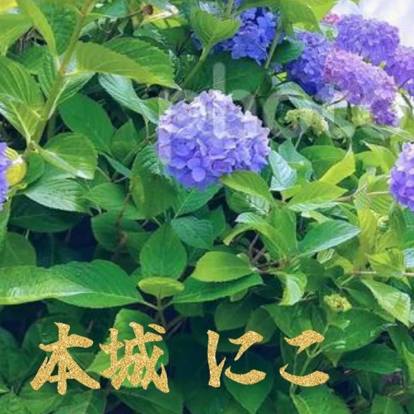 生まれ変わり！？