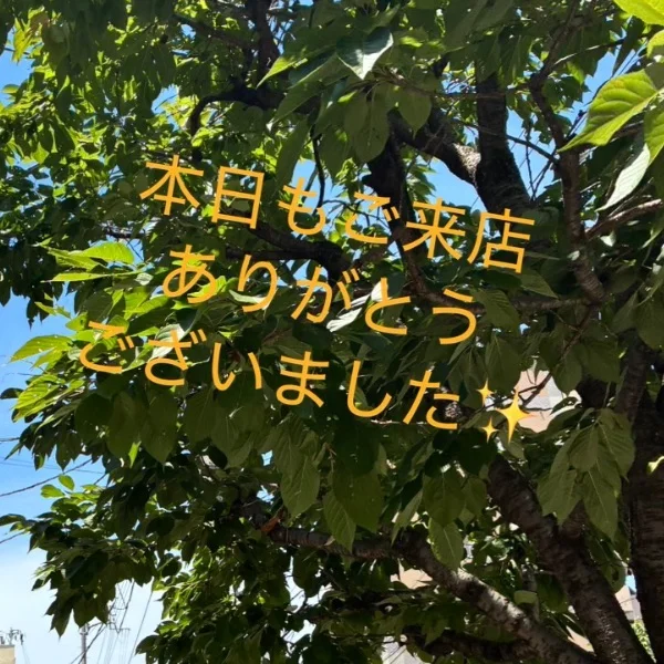 お礼✨