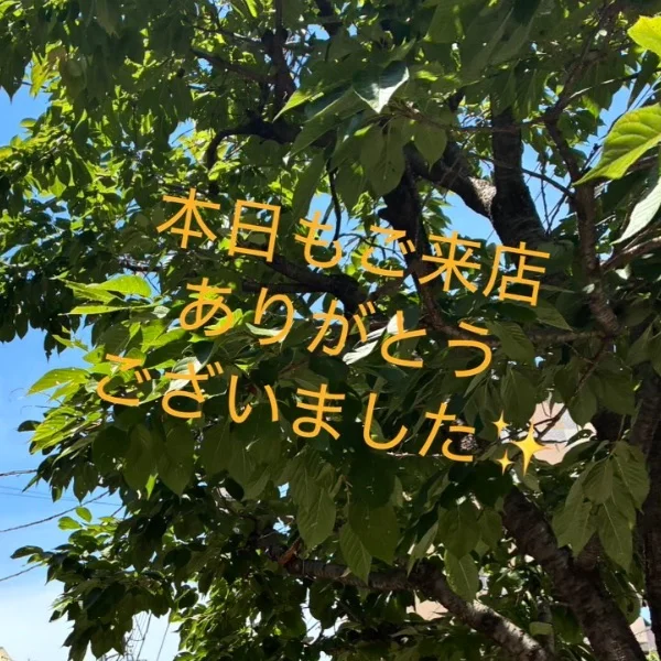 お礼✨