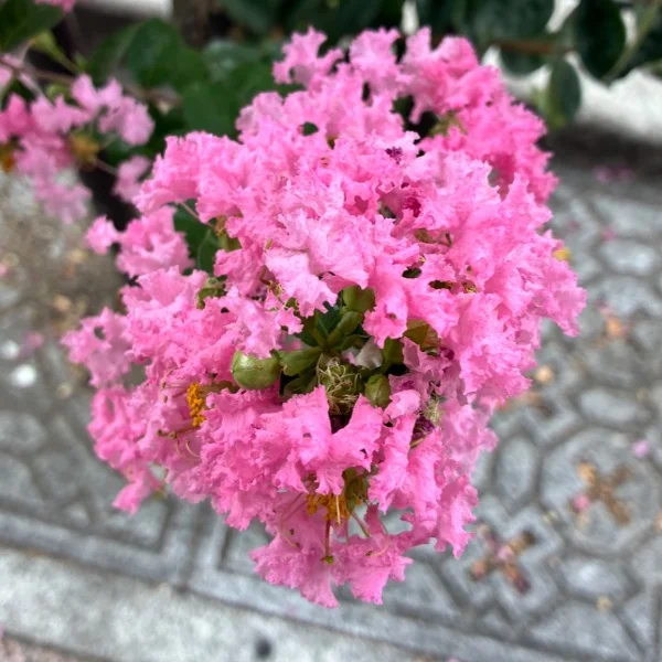出勤しています🤗