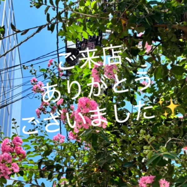 お礼✨