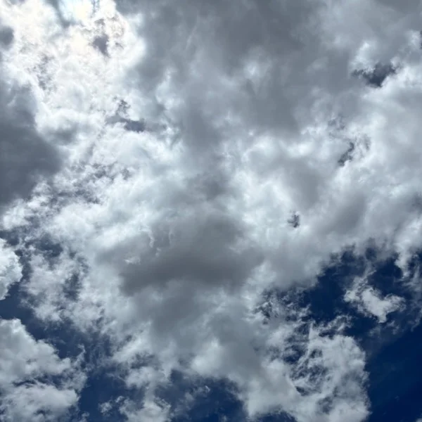 出勤してます☺️
