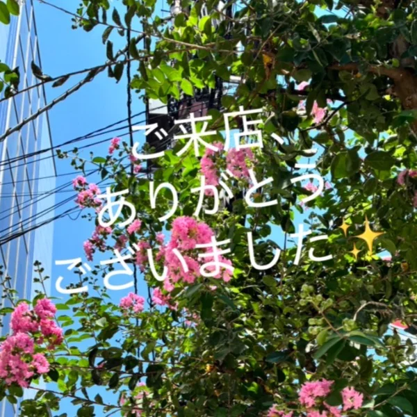 お礼✨