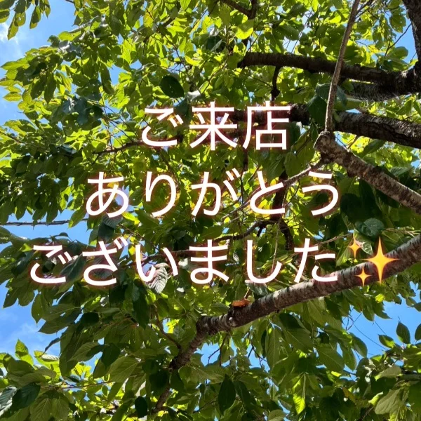 お礼🙇🏻‍♀️