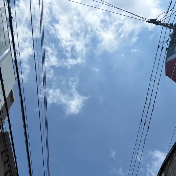 出勤してます✨