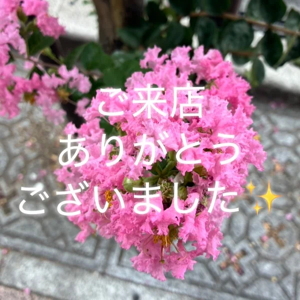 お礼✨