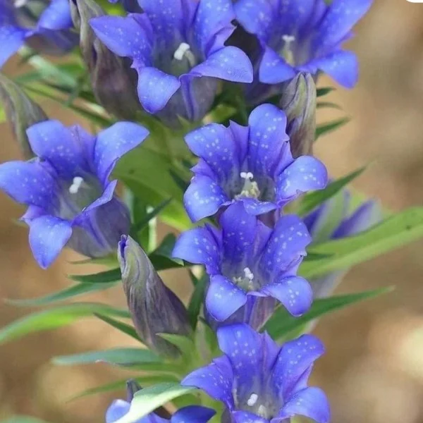 出勤してます❀