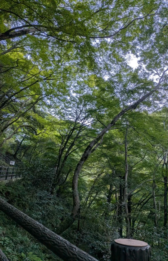 連勤です🫧