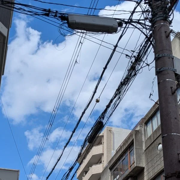限定🫧