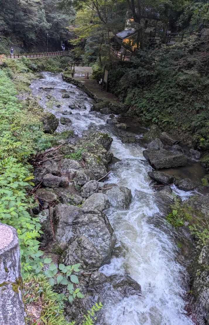 いつも、ありがとうございます🙏