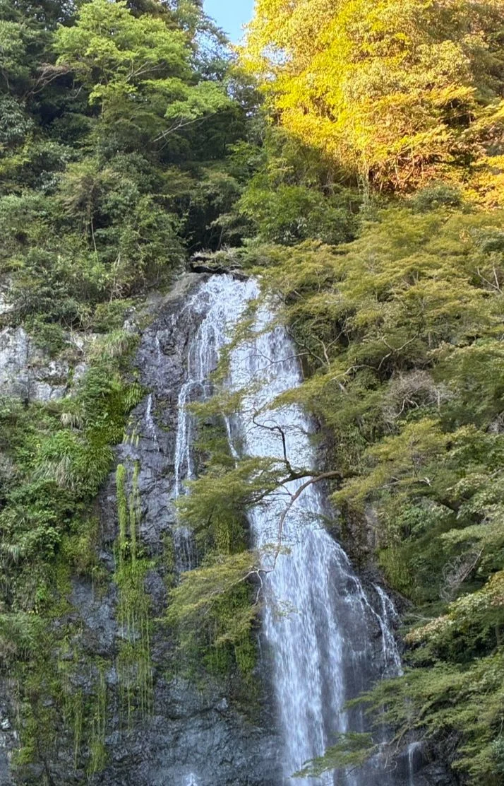 おはよーーーーーーー😊