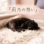採用担当の莉乃さん