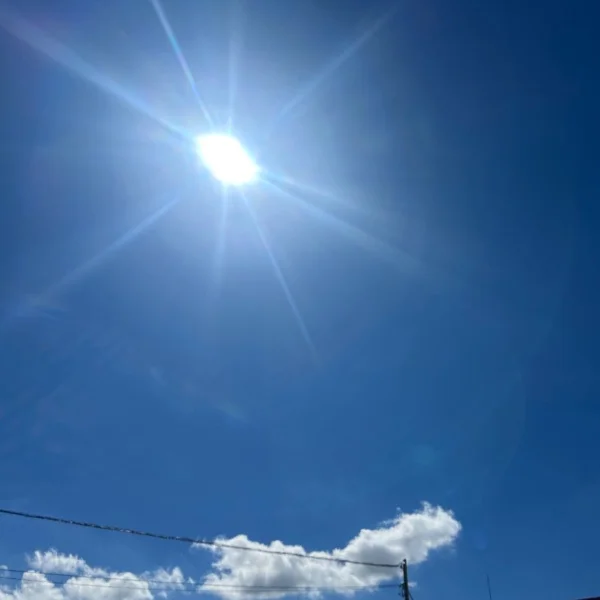 本日12:00～♥️夏の楽しみ