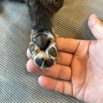 採用担当のもってぃんさん